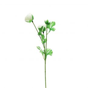 FLOWER SMALL RANUNCULUS WHITE 66CM
