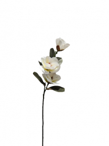 FLOWER SINGLE MAGNOLIA WHITE 75CM
