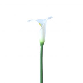 FLOWER CALLA LILY SPRAY WHITE 74CM