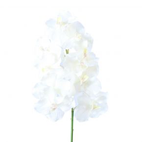 FLOWER VANDA ORCHID SPRAY LARGE CREAM 73CM