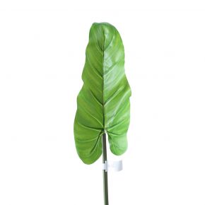 LEAF PHILODANDRON WITH COCO SKIN GREEN 84CM