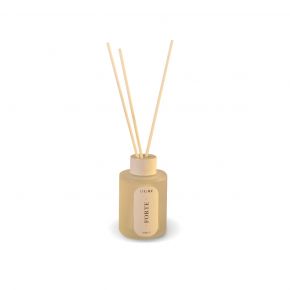 VIVERE x OURE HOME - REED FRAGRANCE FORTE 70ML CSG